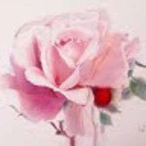 Meet your Posher, Steph